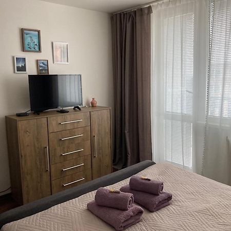 Apartman Zemplin ميشالوفيتسي المظهر الخارجي الصورة