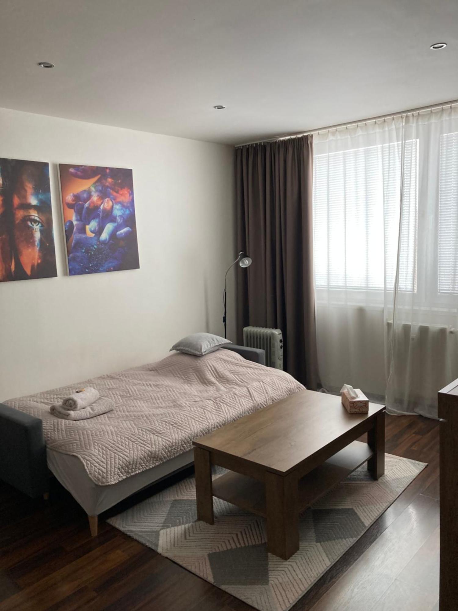 Apartman Zemplin ميشالوفيتسي المظهر الخارجي الصورة
